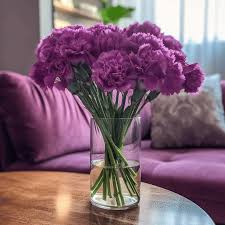 Pretty Purple Carnations in a Vase