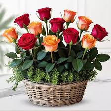 Red and Orange Roses in Basket