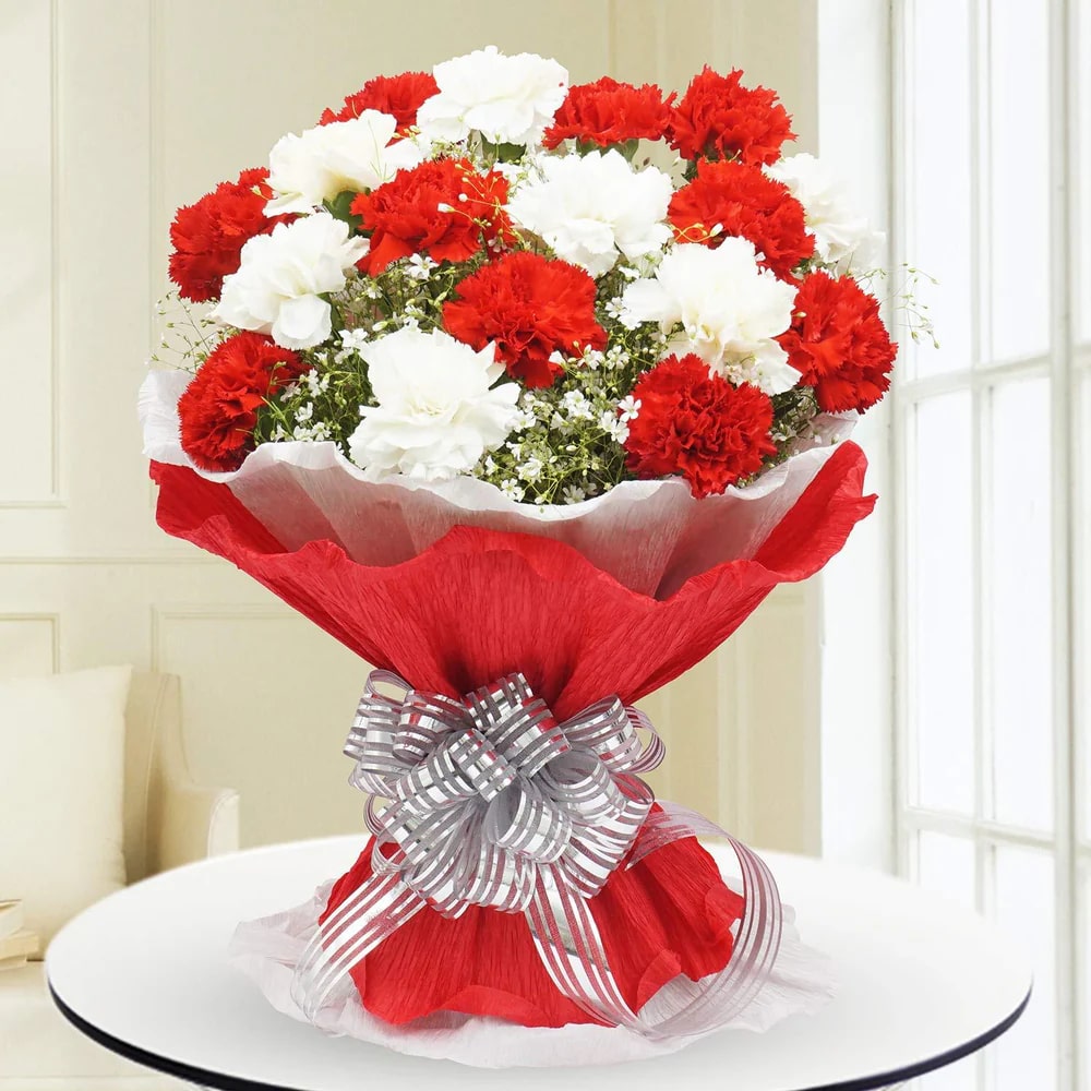 Red and White Carnation Bouquet