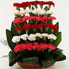 Red, pink, and white Carnations melded together in a basket