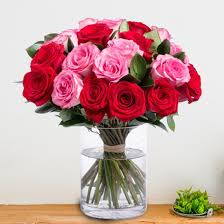 Red & Pink Roses in Vase