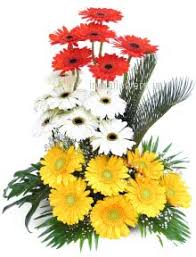 Red, White, and Yellow Gerbera Basket arrangement