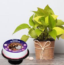Spiritual Money Plant & Eggless Photo printed cake