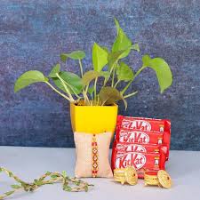 Spiritual Plant Combined with Rakhi & Kit kat chocolate