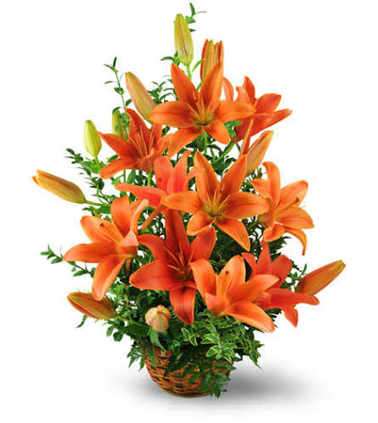 Stunning Orange Lily Floral Arrangement