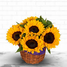 Sunflowers in a Basket