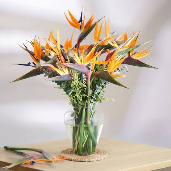 Topnotch Vase arrangement with Bird of paradise
