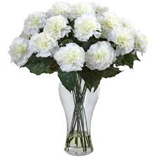 White Carnations in Glass Vase