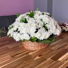 White Chrysanthemum fused in a basket