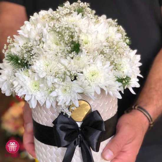 White chrysanthemum merged in a sophisticated box